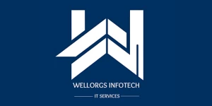 Wellorgs Infotech Pvt Ltd