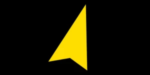 Rapid IT Services LLC