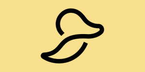 Duck Design Studio