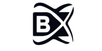 BlockchainX