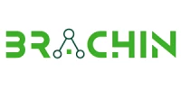 BRACHIN LLC