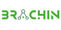 BRACHIN LLC