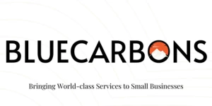 Blue Carbons Digital Agency
