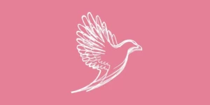 Maclaren Jones Design and Marketing