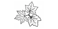 Studio Unfolded Leaves