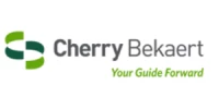 Cherry Bekaert Advisory