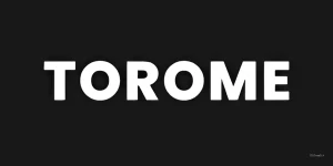Torometech