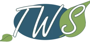 Therapy Web Solutions