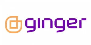 Ginger IT Solutions