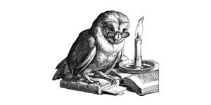 Real Wisconsin Website Design