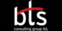 BTS Consulting Group