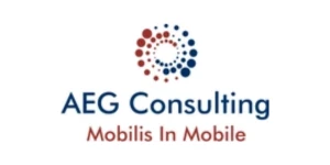 AEG Consulting