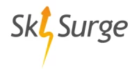 Skysurge Business Solutions