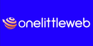 OneLittleWeb