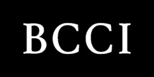 BCCI Consulting