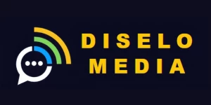 Diselo Media Internet Marketing
