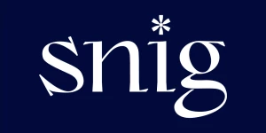 snig.digital