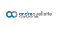 Andre Ouellette, Consultant Web