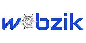 Webzik