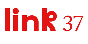 Link 37