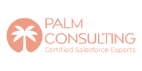 Palm Consulting