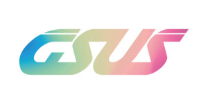 GSUS Star Software Solutions Pvt Ltd