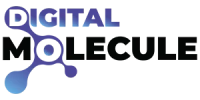 Digital Molecule Pvt Ltd