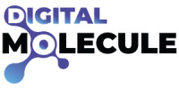 Digital Molecule Pvt Ltd