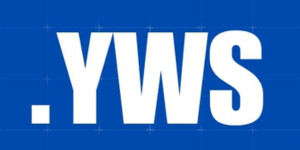 Young Web Solutions