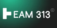 Team 313 Ltd