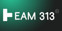 Team 313 Ltd