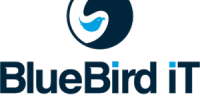 BlueBird iT Solutions Inc