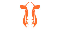 Orange Cattle