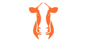 Orange Cattle