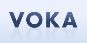 Voka Logotype VOKA Reviews and Clients | DesignRush