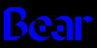 Bear Group