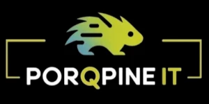 PorQpine IT