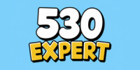 530 Expert