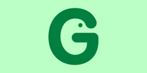 Green Duck Studio