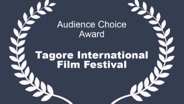 The Visual House - Award 7
