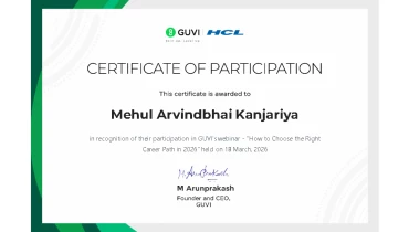 Magesol Software Company - Award 1