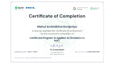 Magesol Software Company - Award 2