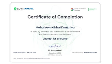 Magesol Software Company - Award 3