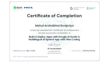 Magesol Software Company - Award 4