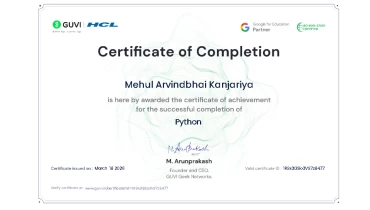 Magesol Software Company - Award 5