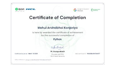 Magesol Software Company - Award 6