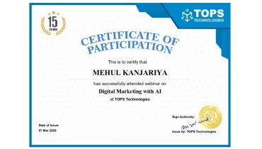 Magesol Software Company - Award 8