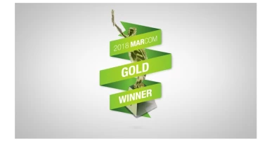 Blink Advertising Agency - Award 4