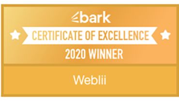 Weblii - Award 2