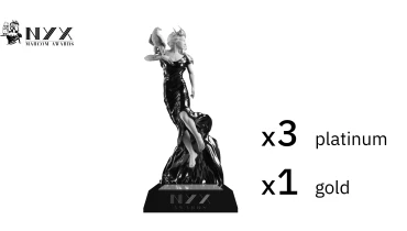 Zgraya Digital - Award 5